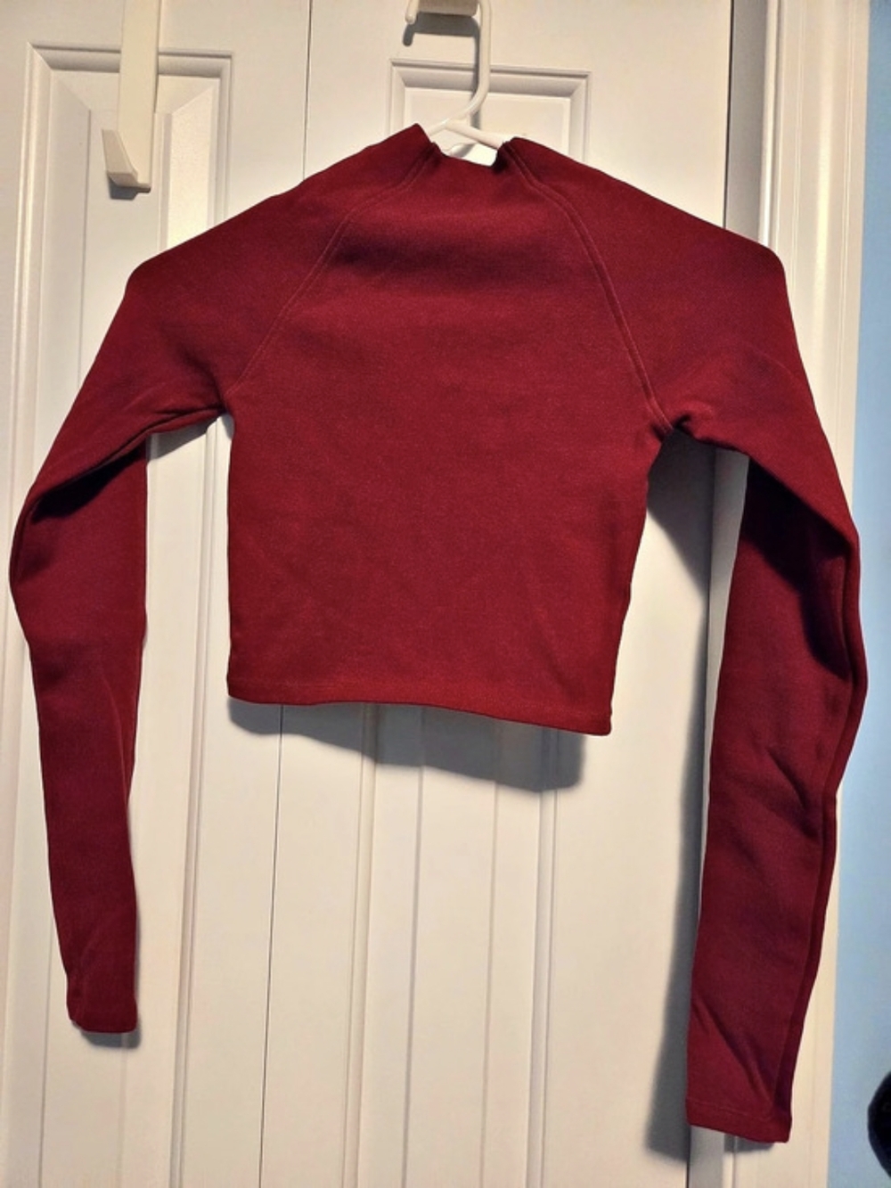 Zara Mock Neck Long Sleeve Crop Top Red